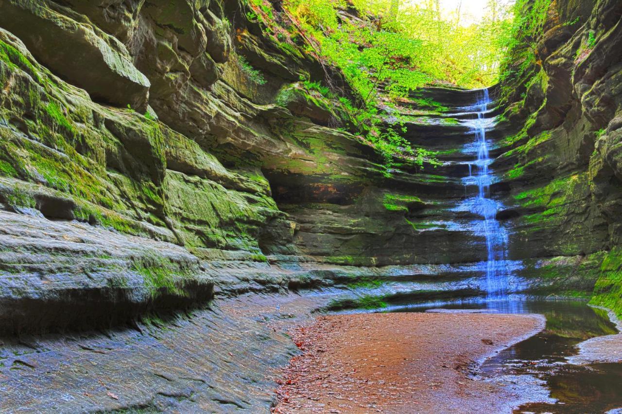 Starved Rock & Ottawa Retreat Amazing Getaway Home Экстерьер фото